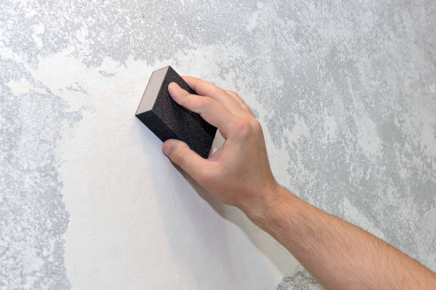 Best Air Quality Testing for Mold Spores  in Seneca, KS