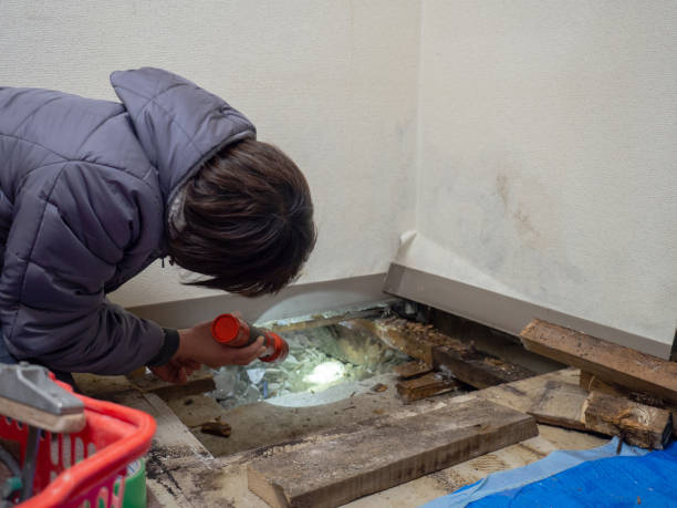 Mold Remediation for Rental Properties in Seneca, KS