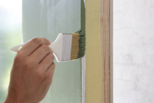 Best Black Mold Removal  in Seneca, KS