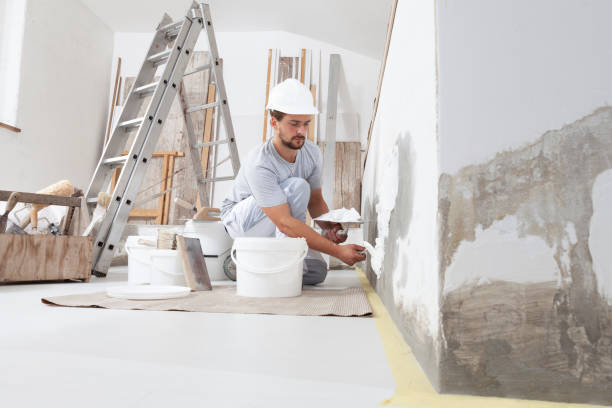 Best Water Damage & Mold Remediation  in Seneca, KS