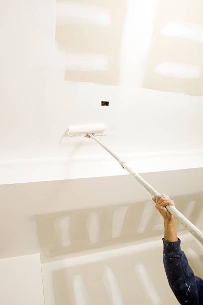 Best Emergency Mold Remediation  in Seneca, KS