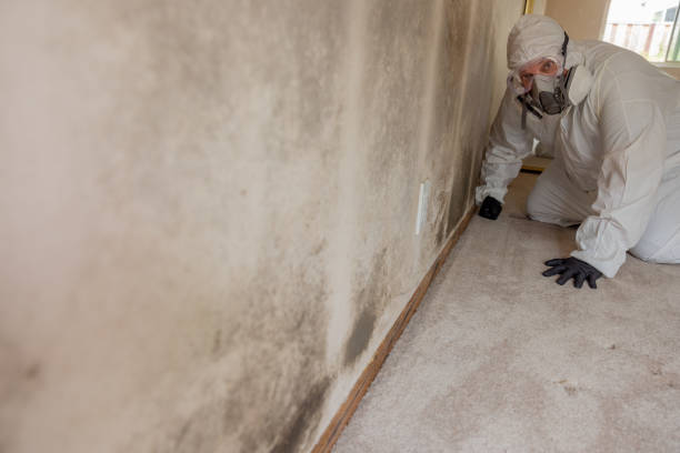 Best Comprehensive Air Testing for Mold Contaminants  in Seneca, KS